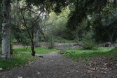 Enlarge photo 37