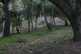Enlarge photo 38