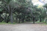 Enlarge photo 39