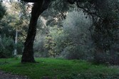 Enlarge photo 40