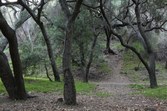 Enlarge photo 41