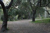 Enlarge photo 42