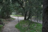 Enlarge photo 44