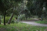 Enlarge photo 45