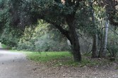 Enlarge photo 46