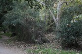 Enlarge photo 47