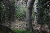 Enlarge photo 48
