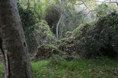 Enlarge photo 49