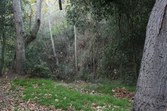 Enlarge photo 50