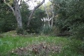 Enlarge photo 51