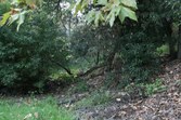 Enlarge photo 52
