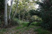 Enlarge photo 53