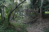 Enlarge photo 54