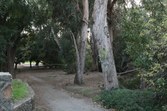 Enlarge photo 55