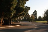 Enlarge photo 56