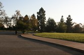 Enlarge photo 57