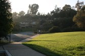 Enlarge photo 58