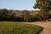 Enlarge photo 59