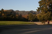 Enlarge photo 61