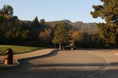 Enlarge photo 62