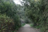 Enlarge photo 63