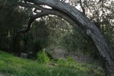 Enlarge photo 64