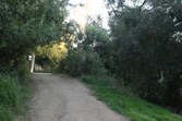 Enlarge photo 65