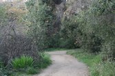Enlarge photo 66