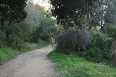 Enlarge photo 67