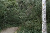 Enlarge photo 68