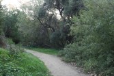 Enlarge photo 69