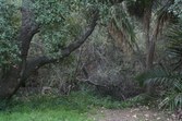 Enlarge photo 71