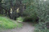 Enlarge photo 72