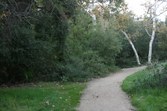 Enlarge photo 73