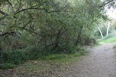 Enlarge photo 75