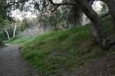 Enlarge photo 76