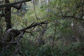 Enlarge photo 77