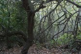 Enlarge photo 78
