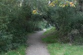 Enlarge photo 80