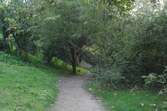 Enlarge photo 81