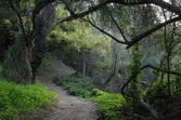 Enlarge photo 82