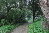 Enlarge photo 83
