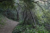 Enlarge photo 84