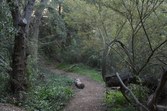 Enlarge photo 85