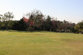 Enlarge photo 49