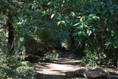 The Arboretum