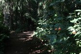 Enlarge photo 31