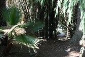 Enlarge photo 33