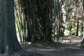 Enlarge photo 34