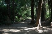 Enlarge photo 36